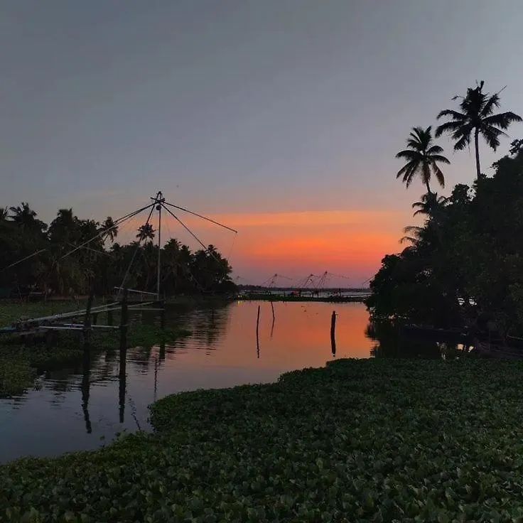 Apartment Olive Homestay Kochi India